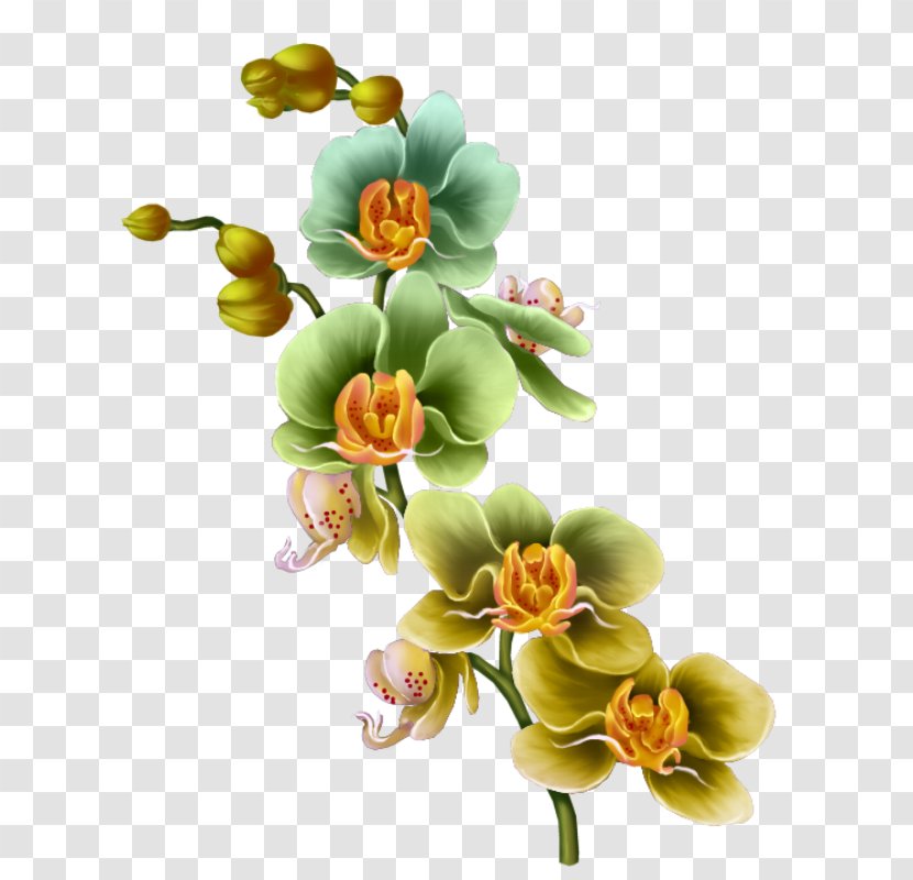 Floral Design Flower Drawing Painting - Blume Transparent PNG