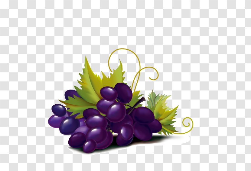 Violet Grape Color Illustration - Stock Photography - Purple Transparent PNG