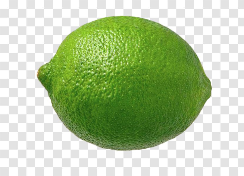 Persian Lime Citrus Fruit Sweet Lemon - Citron Food Transparent PNG