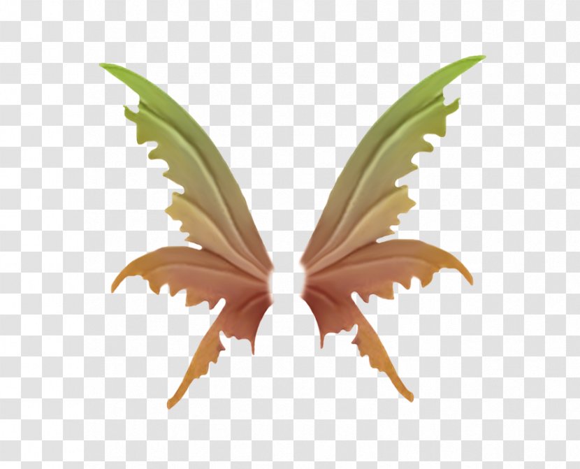 Wing - Pollinator - Game Wings Transparent PNG