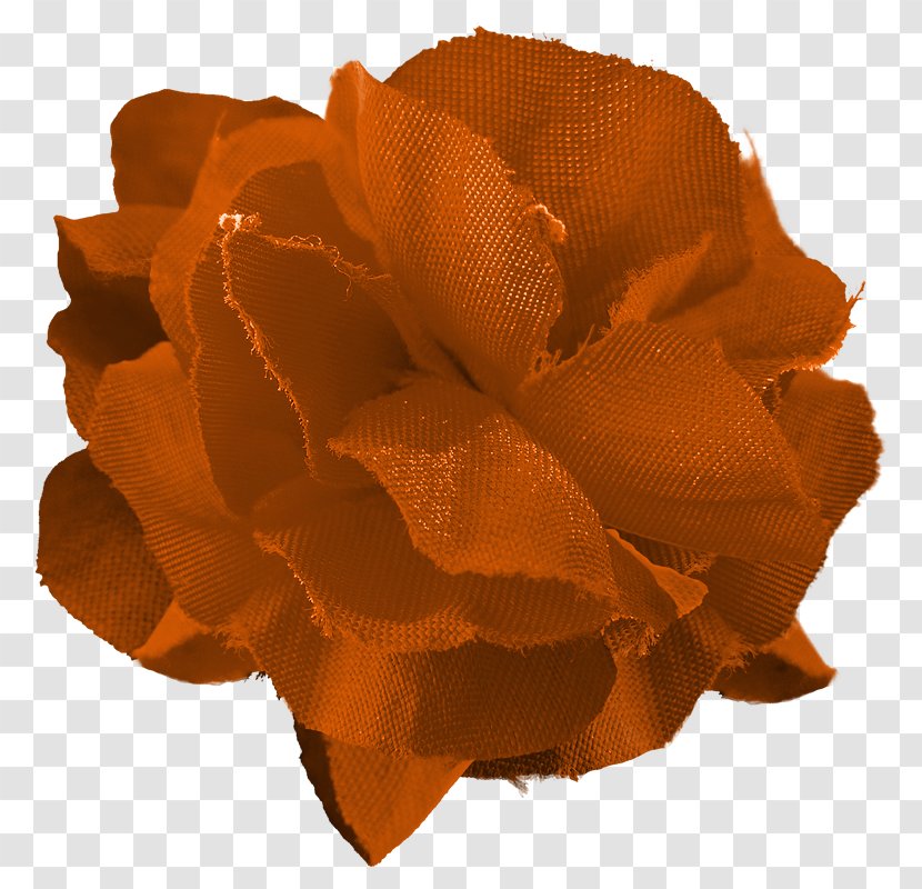 Cut Flowers Petal - Orange - Cbf Transparent PNG