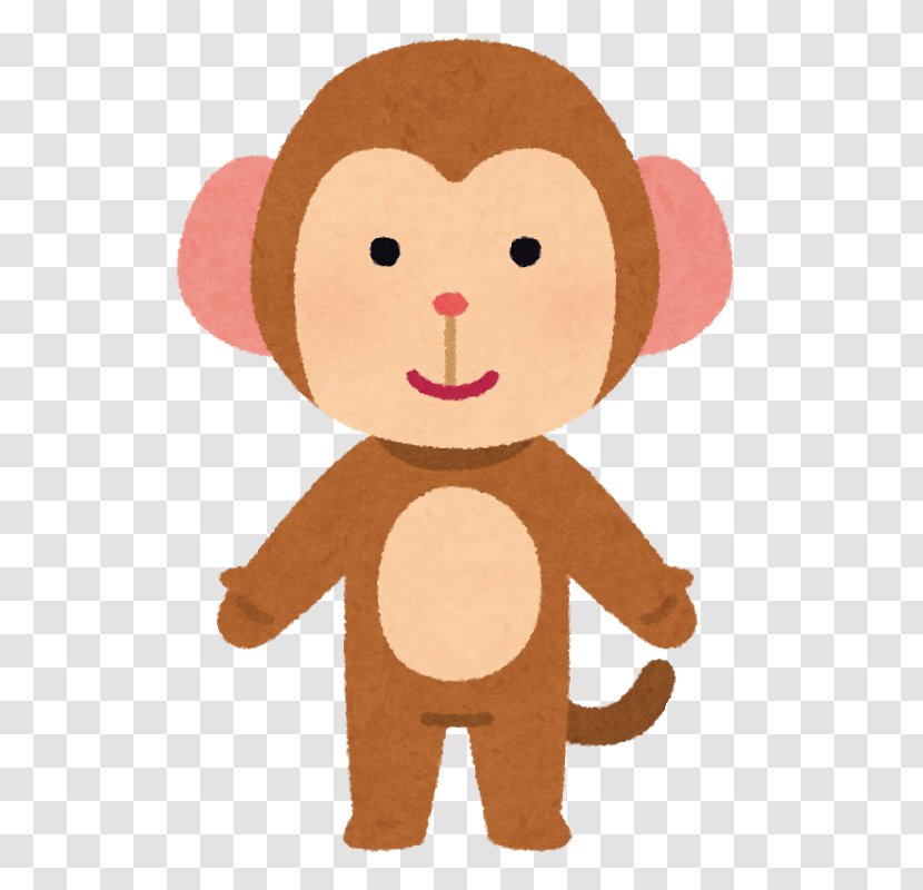Pygmy Slow Loris Monkey Japanese Macaque Primate Human - Lorisidae Transparent PNG