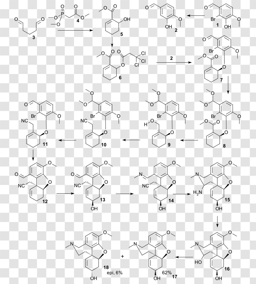 Galantamine Total Synthesis Chemical Of Morphine And Related Alkaloids - Strychnine Transparent PNG