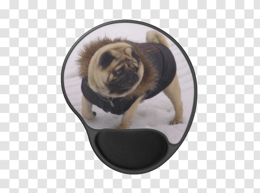 Pug Puppy Dog Breed Handbag Coin Purse - Like Mammal Transparent PNG