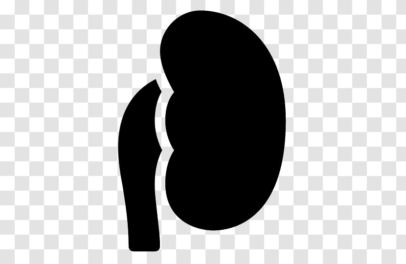 Kidney Logo - Frame - Flower Transparent PNG