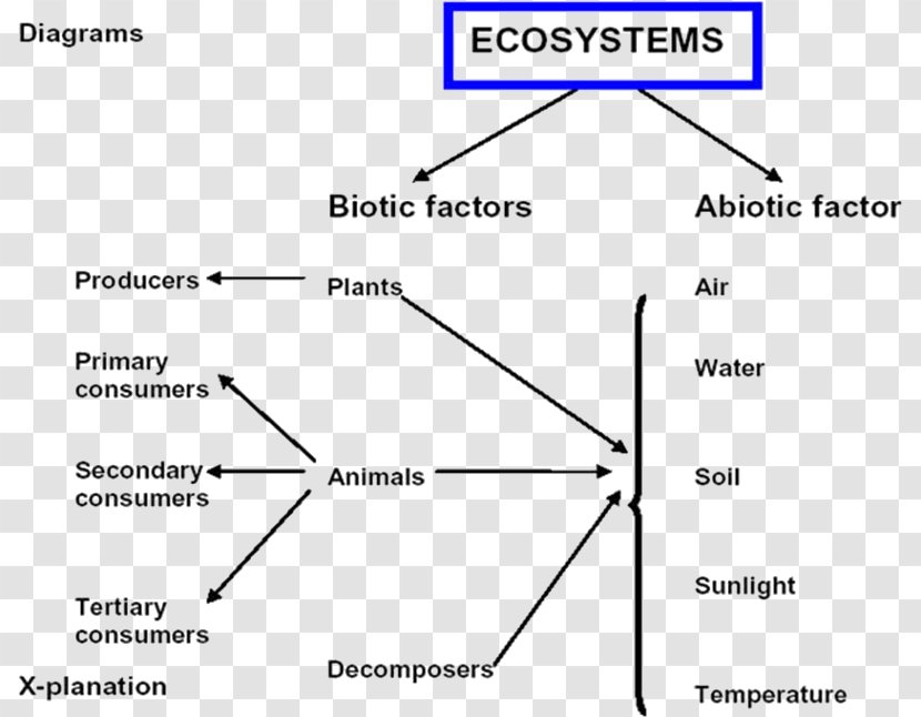 Ecosystem Ecology Document Decomposer Limiting Factor - Hierarchy Transparent PNG