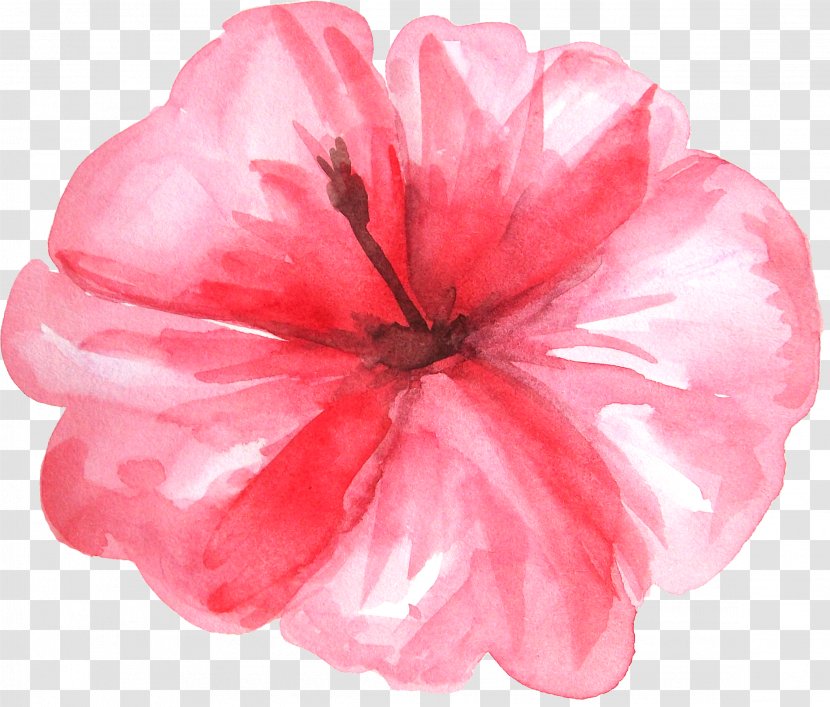Watercolor Painting Clip Art - Flowering Plant - Fresh Hot Flowers Transparent PNG