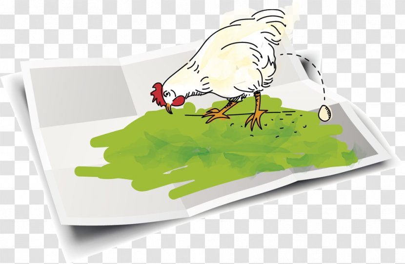 Chicken Garden House Egg - Vlaamse Milieumaatschappij Transparent PNG