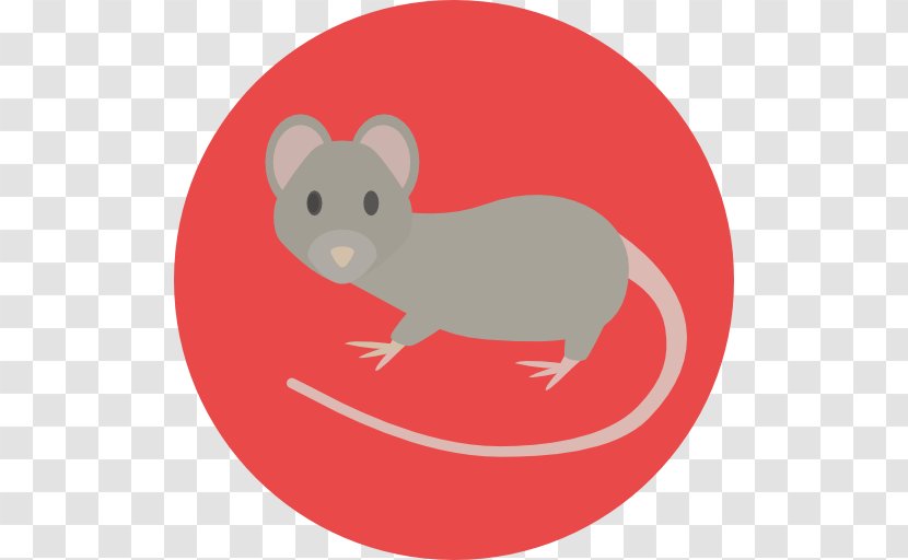 Mouse Rat Rodent Clip Art - Carnivoran - Animal Transparent PNG
