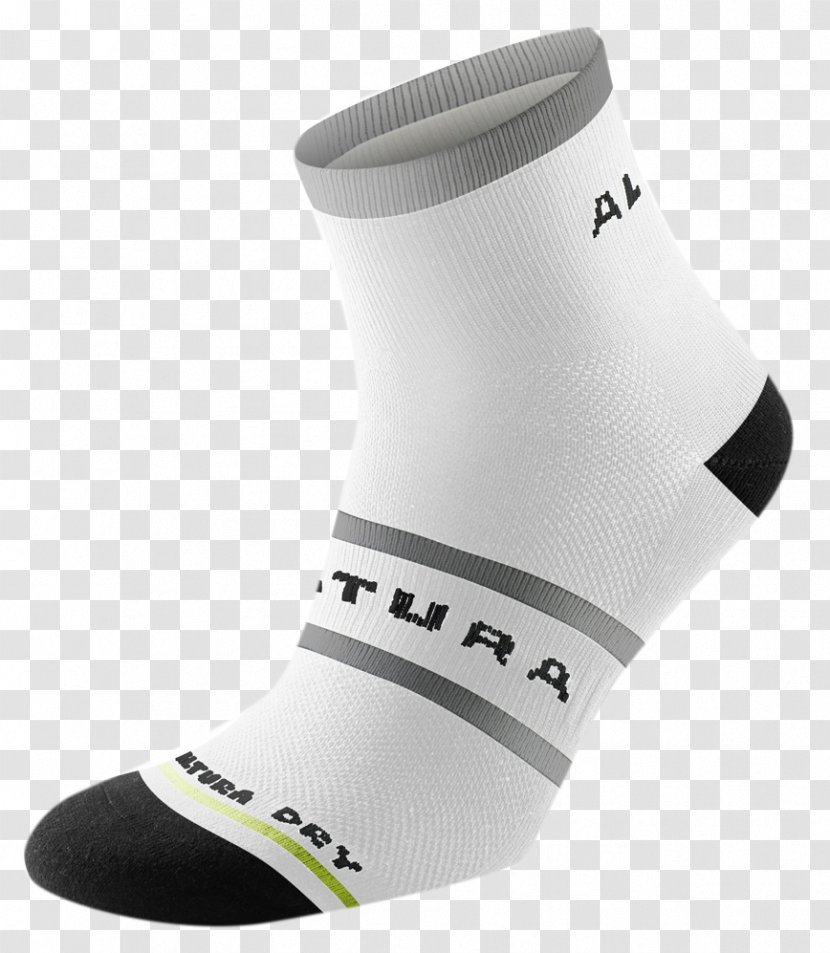 Sock White Coolmax Clothing Sizes Cycling - Tree Transparent PNG