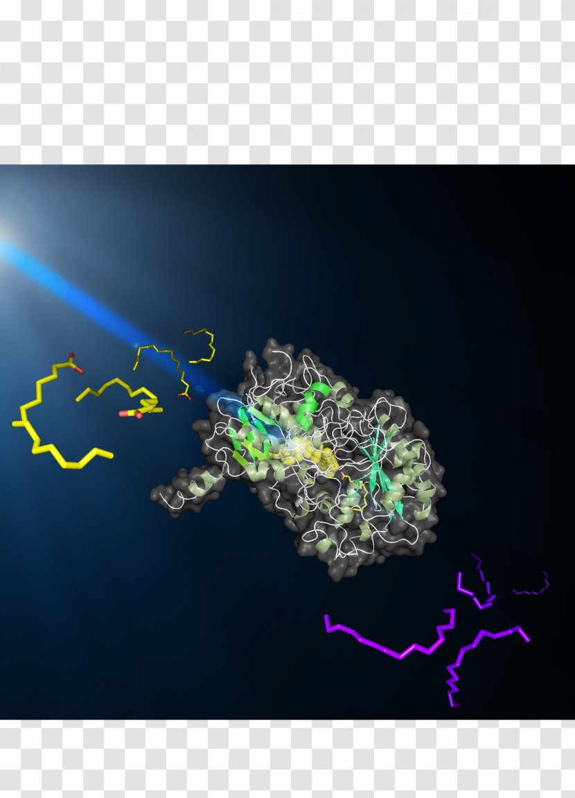 Microalgae Fatty Acid Photodecarboxylase Light - Violet Transparent PNG