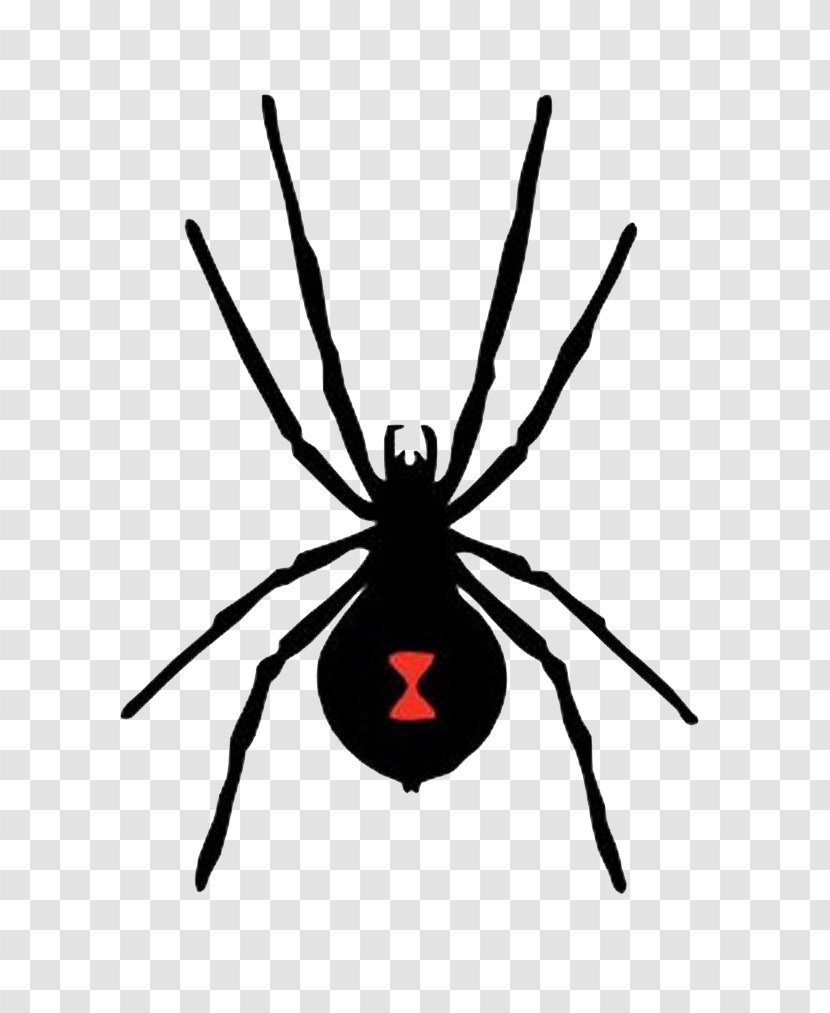 Spider-Man Western Black Widow - Spiderman - Spider Transparent PNG