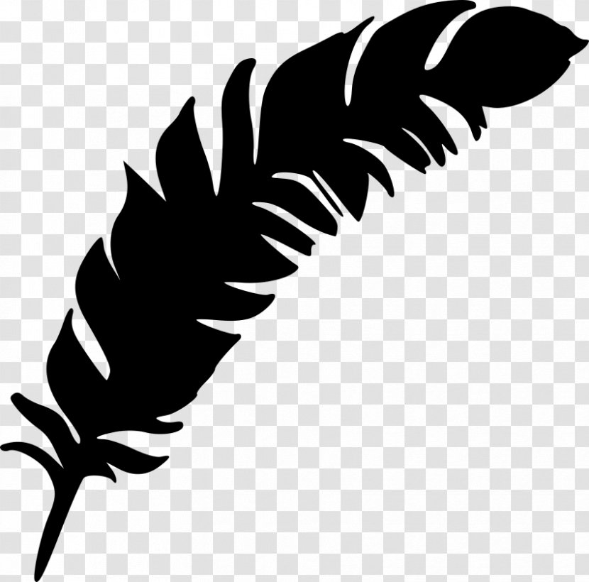 Clip Art Feather Leaf Plant Stem Beak Transparent PNG
