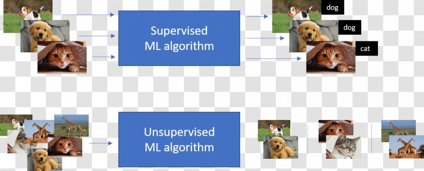 Machine Learning Unsupervised Algorithm - Statistical Classification - Dog Transparent PNG