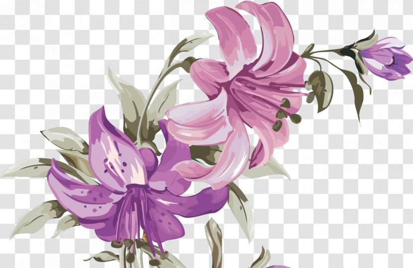 Cut Flowers Lilium - Lily - Flower Transparent PNG