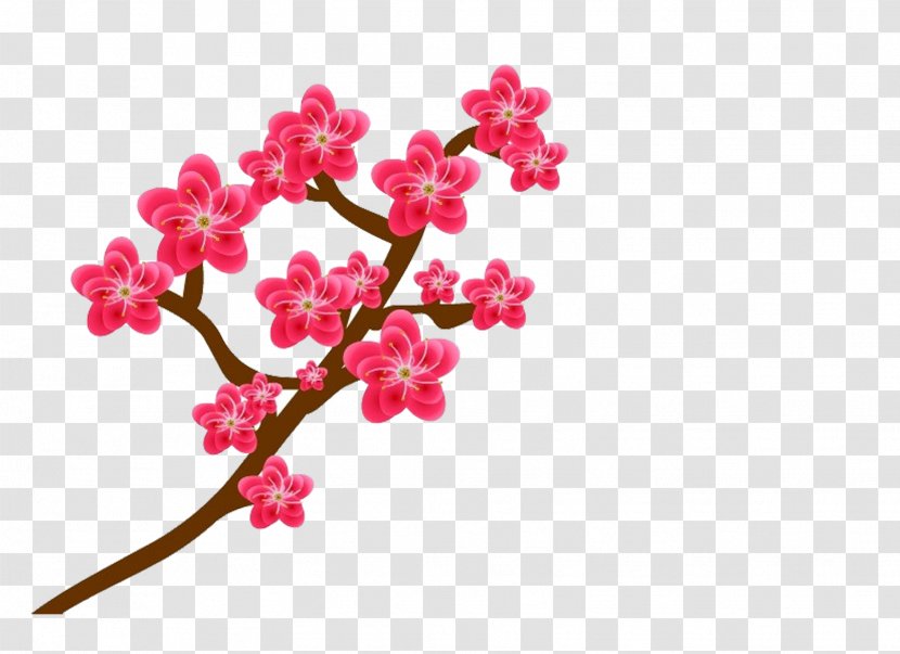 Plum Blossom Flower - Pink - Pictures Transparent PNG