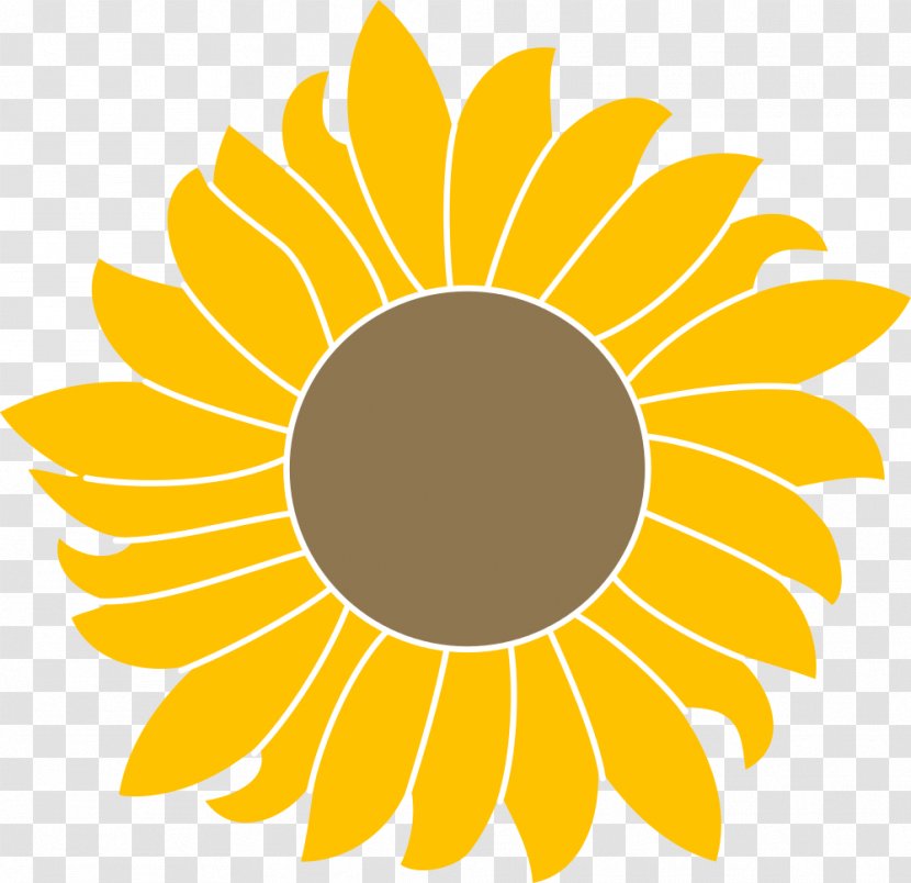 Common Sunflower Seed AutoCAD DXF - Flowering Plant - Girasoles Transparent PNG