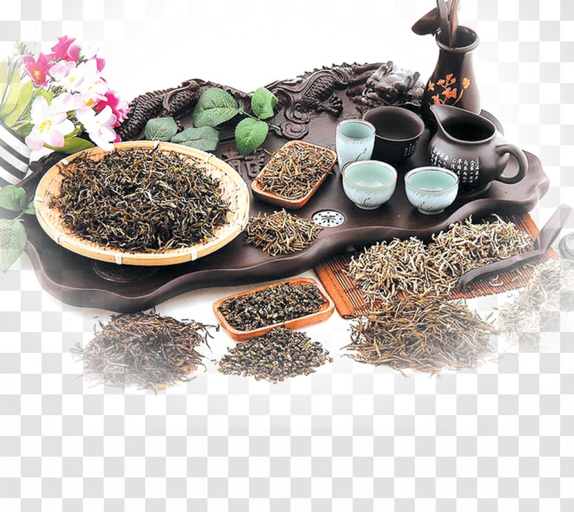Tea Chinese Herbology Crude Drug Poster - Cup Of Transparent PNG