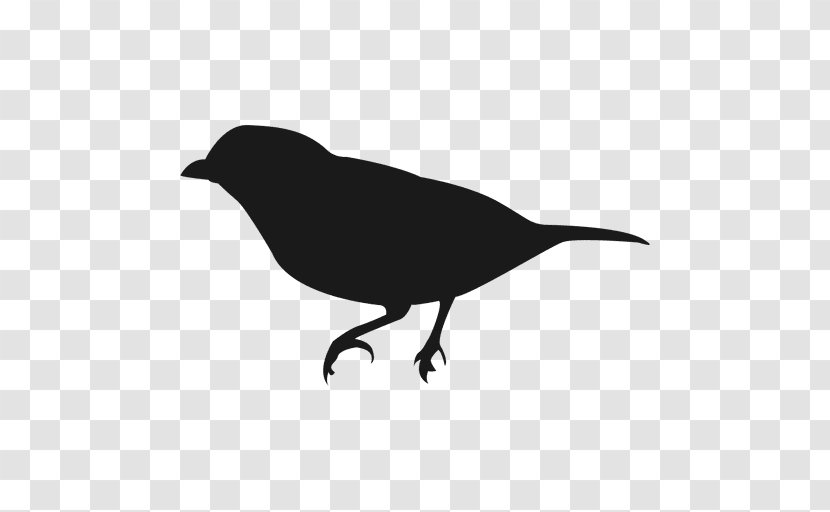 American Crow Bird Silhouette Owl - Finch Transparent PNG