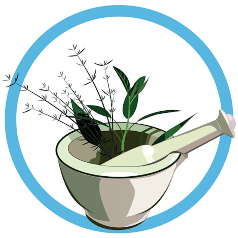 Herbalism Medicine Mortar And Pestle Cure - Flowerpot - Herb Transparent PNG