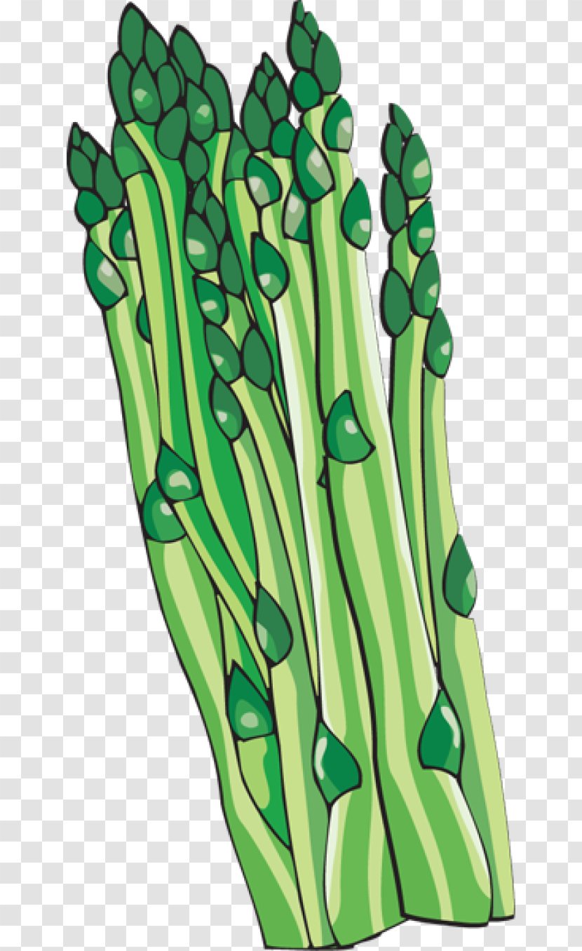 Bunch Of Asparagus Vegetable Clip Art - Plant Stem - Cliparts Transparent PNG