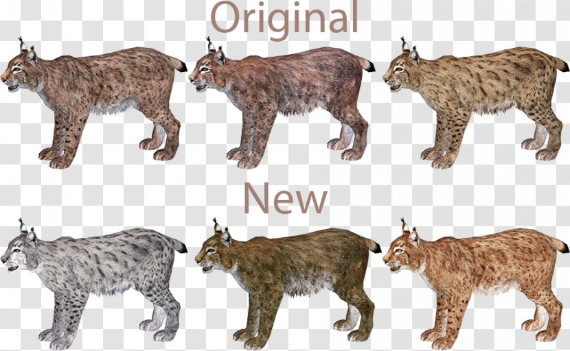 Bobcat Zoo Tycoon 2 Eurasian Lynx Wiki - Animal Figure - Carnivora Transparent PNG