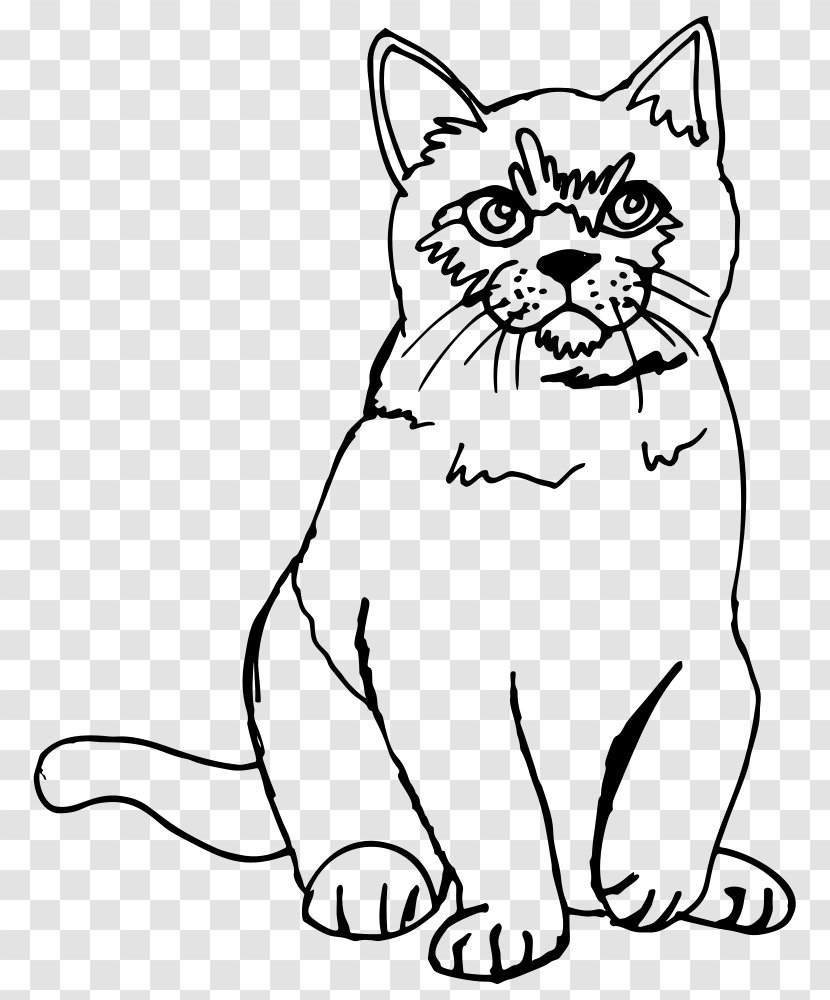Kitten Sphynx Cat Siamese Line Art Drawing - Dog Like Mammal Transparent PNG
