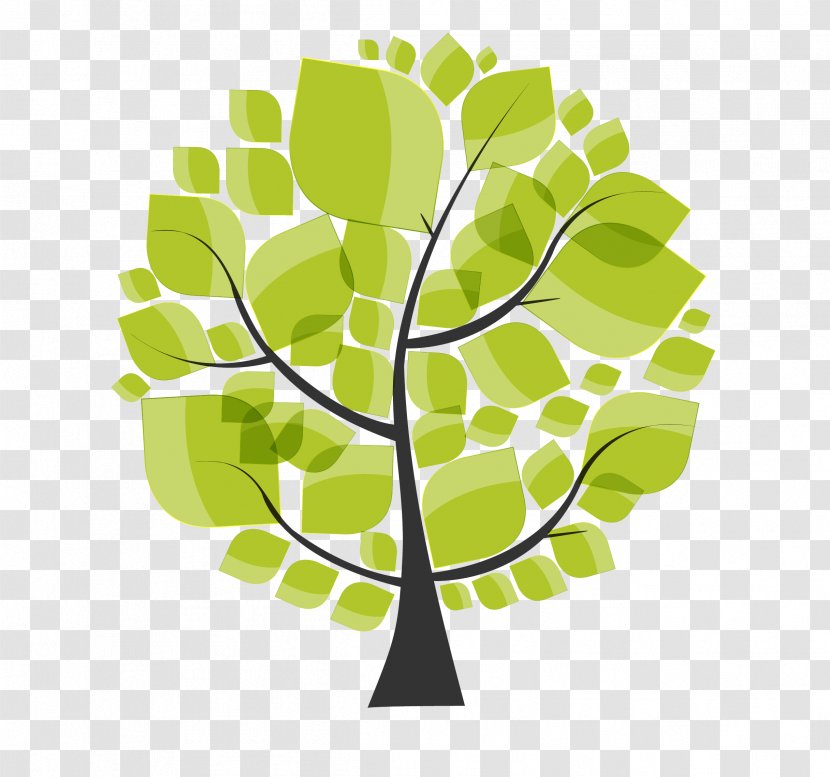 Green Leaf Background - Scunthorpe - Plane Arbor Day Transparent PNG