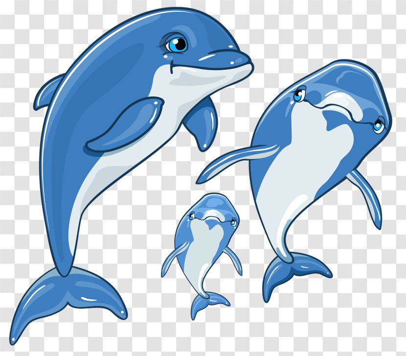 Dolphin Cartoon - Shortbeaked Common - Stenella Roughtoothed Transparent PNG