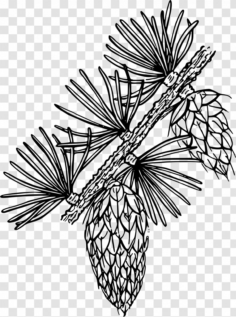 Line Art Flower Clip - Woody Plant Transparent PNG