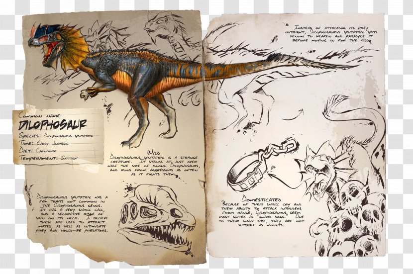 Dilophosaurus ARK: Survival Evolved Oviraptor Compsognathus Allosaurus - Gallimimus - Dinosaur Transparent PNG