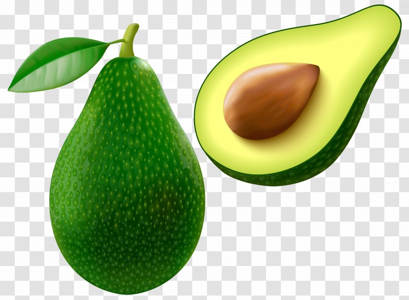 Avocado Clip Art - Melon - Vector Clipart Image Transparent PNG