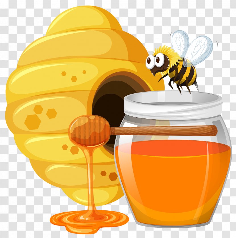 Beehive Honey Bee - Honeycomb - Cartoon With Transparent PNG