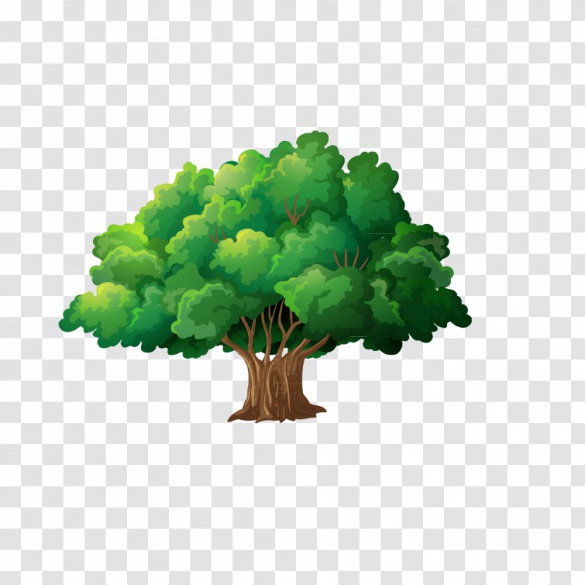 Trees - Leaf - Islam Transparent PNG