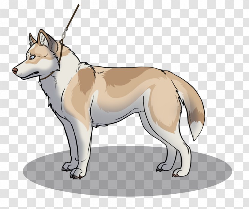 Saarloos Wolfdog Czechoslovakian Dog Breed Dingo Red Fox - Mammal - Rng Transparent PNG