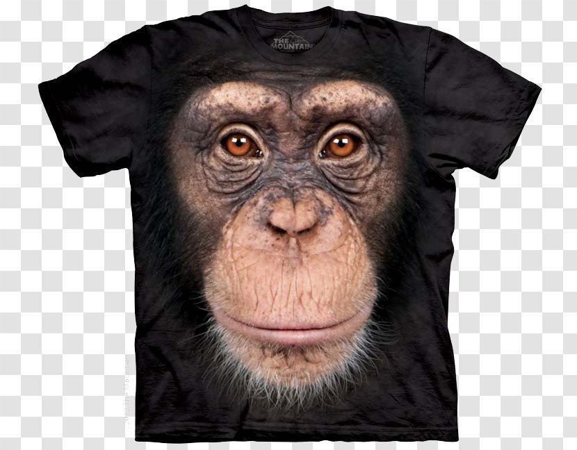 T-shirt Clothing United Kingdom Cocker Spaniel - Common Chimpanzee Transparent PNG