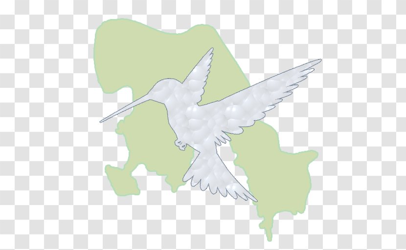 Bird Of Prey Beak Peace Transparent PNG
