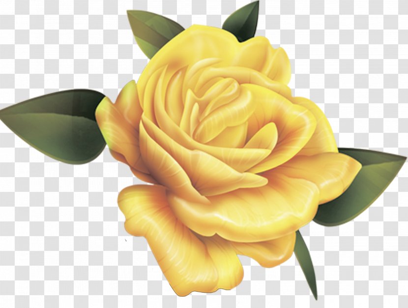 Rose Desktop Wallpaper Yellow Valentine's Day - Valentine S Transparent PNG