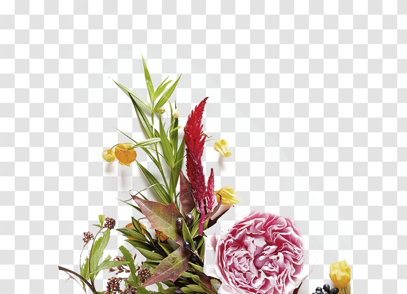 Flower Paper Photography Petal - Bouquet - Plants Transparent PNG