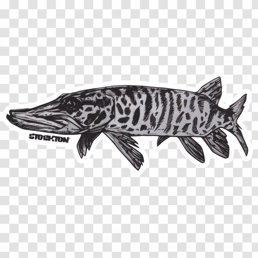 Sticker Fishing Decal Muskellunge - Black - False Albacore Fish Fly Transparent PNG