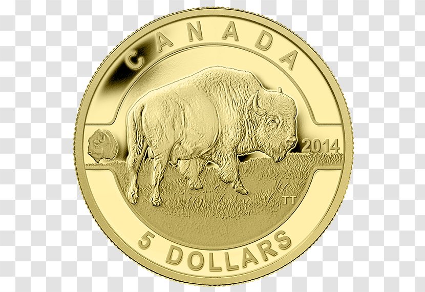 Canada Royal Canadian Mint Gold Coin - Silver Transparent PNG