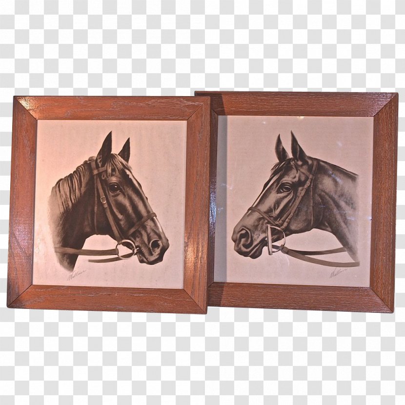 Mustang Bridle Halter Rein Picture Frames - Wood Transparent PNG