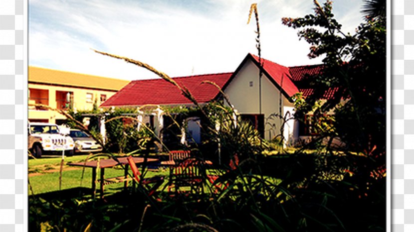The Willow Tree Guest House Everwood Guesthouse Villa De La Rosa Accommodation - Property - Recreation Transparent PNG