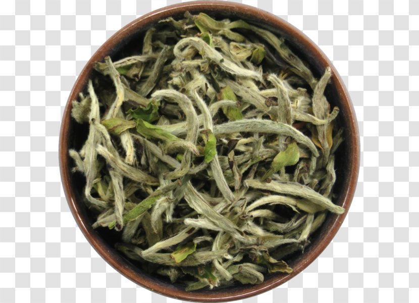 Hōjicha Nilgiri Tea Baihao Yinzhen Longjing White - Vegetarian Food Transparent PNG