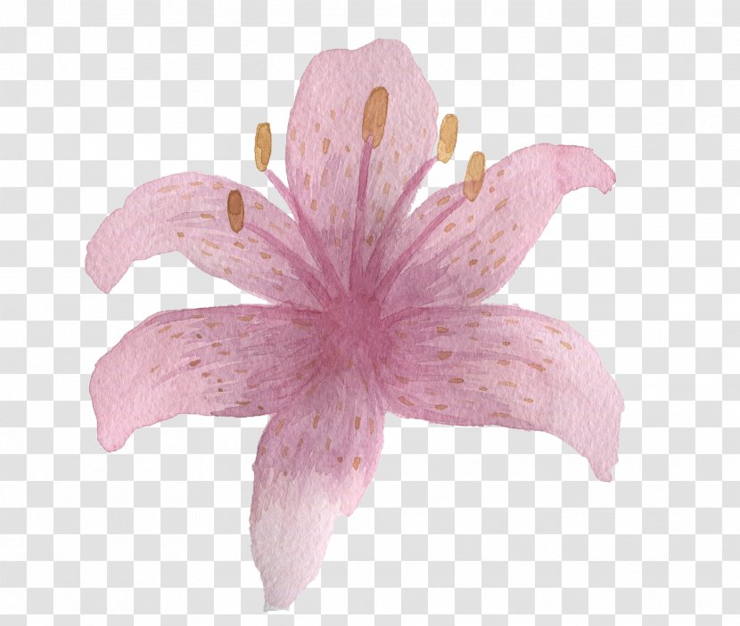 Pink Flower - Rgb Color Model Transparent PNG
