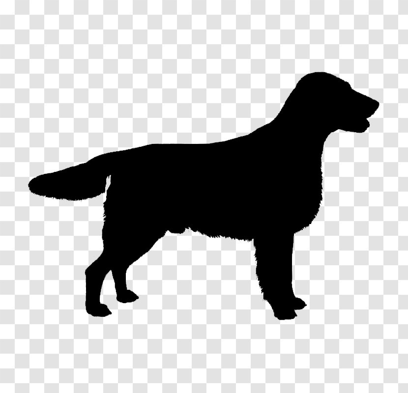 English Springer Spaniel Cocker Dachshund Welsh Jack Russell Terrier - Hunting Dog - Mammal Transparent PNG