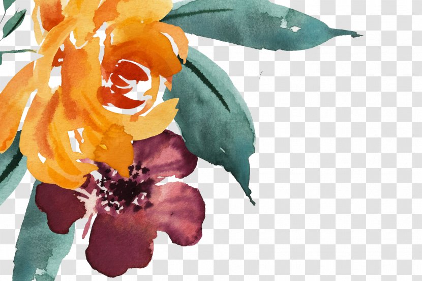 Watercolor: Flowers Watercolor Painting Vector Graphics Drawing - Floral Design Transparent PNG