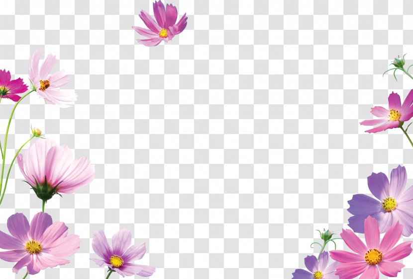Picture Frames Desktop Wallpaper - Petal - Flower Transparent PNG