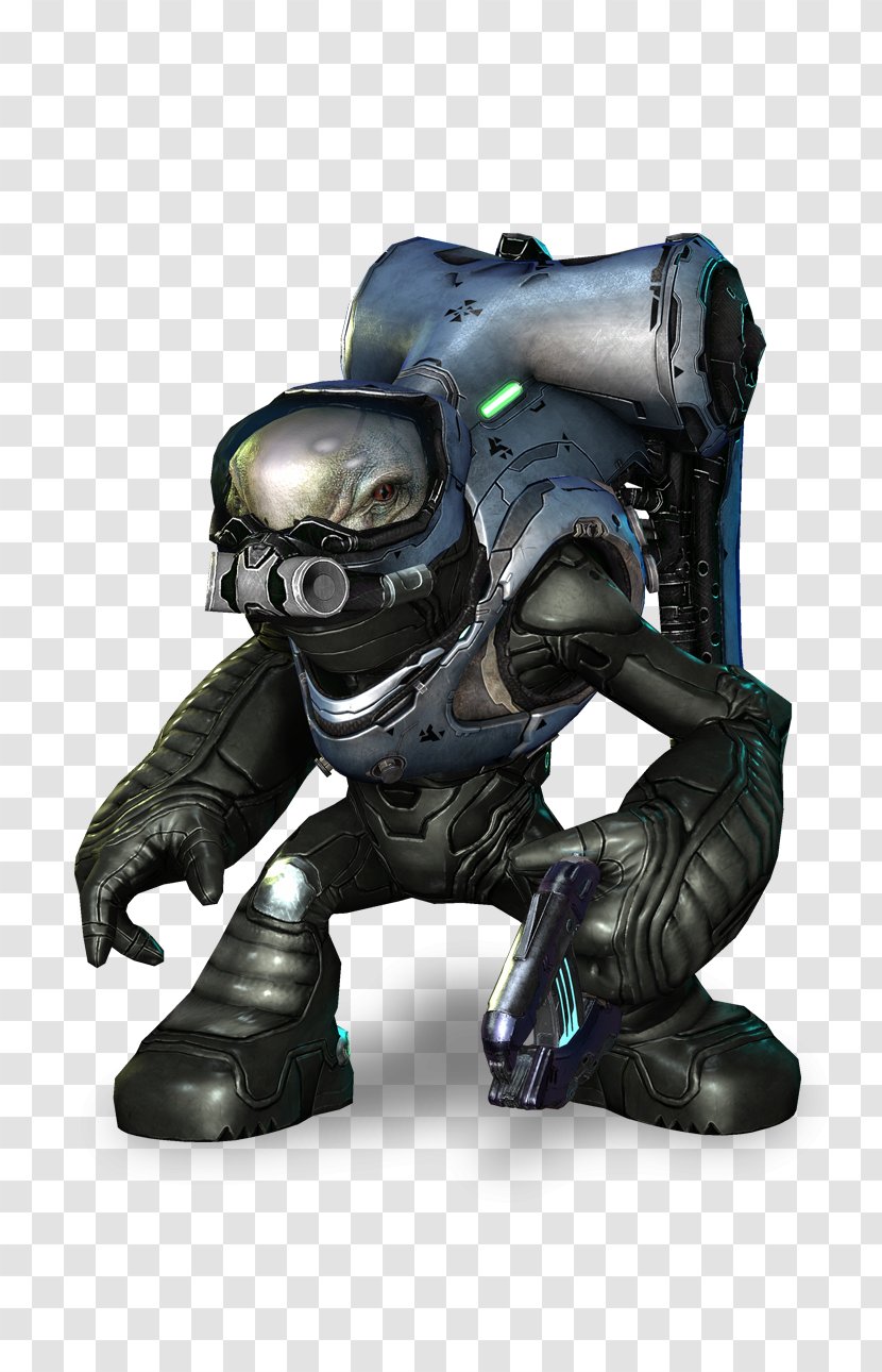 Covenant Unggoy Sangheili Jiralhanae Halo 5: Guardians - Chief Executive - Jackal Transparent PNG