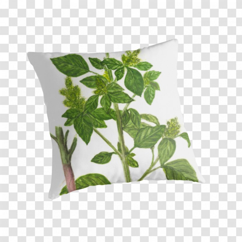 Throw Pillows Cushion Leaf Herb - Pillow Transparent PNG